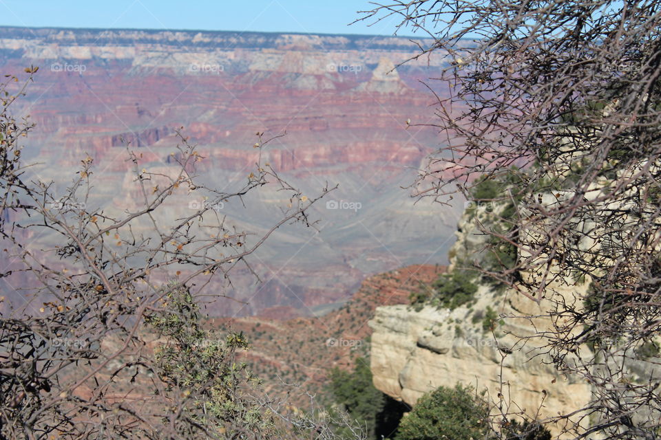 Grand Canyon View
