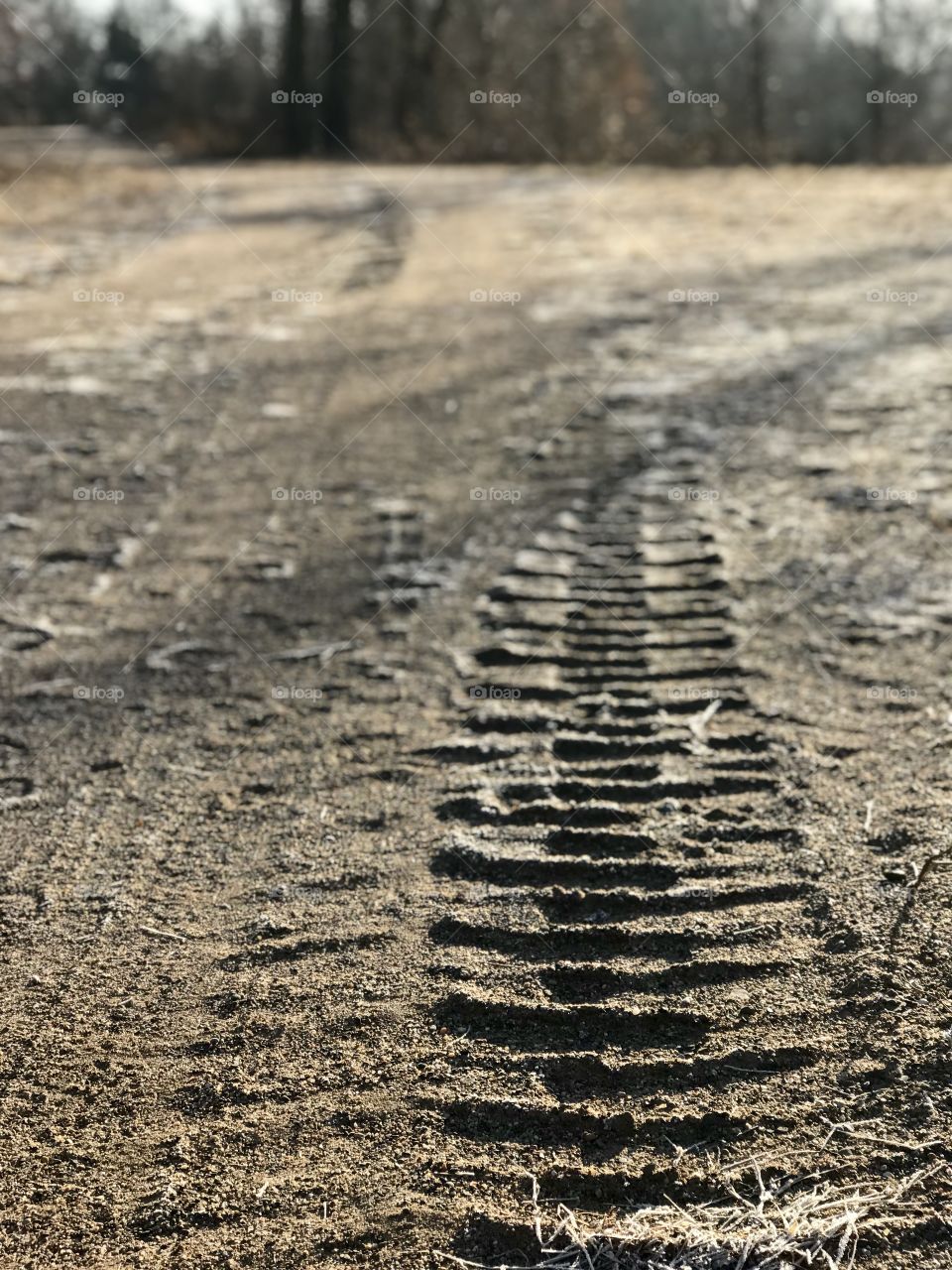 Tire track in sand
