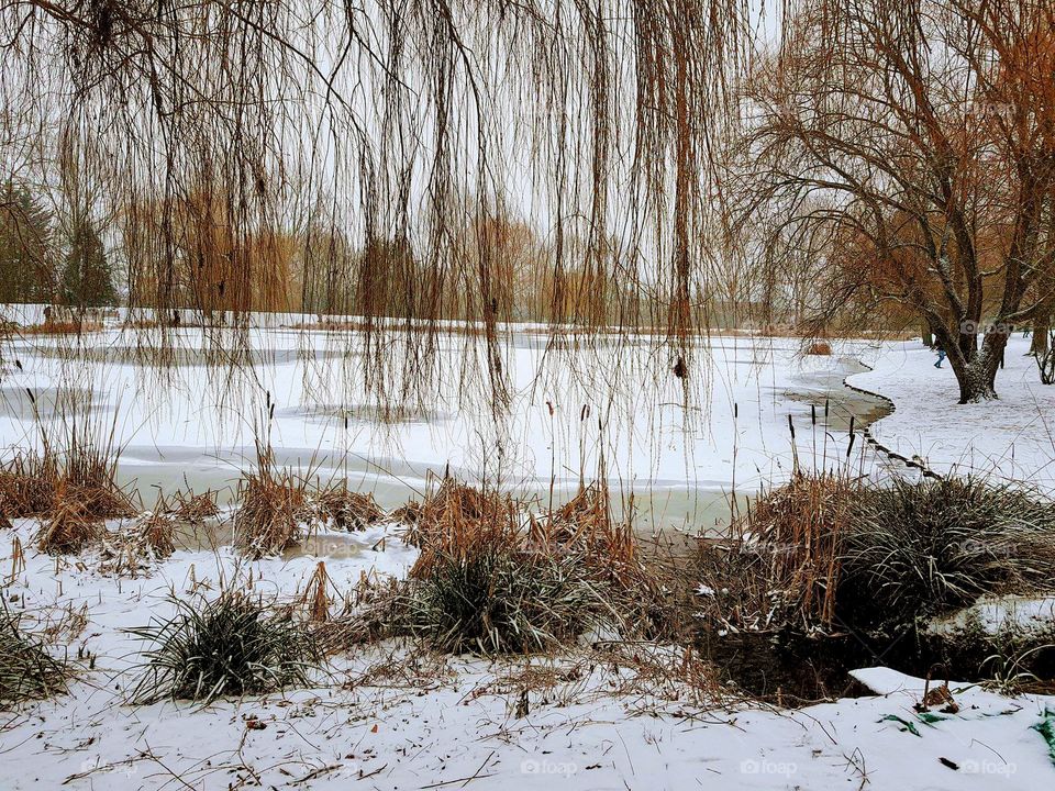 Lake in wintertime