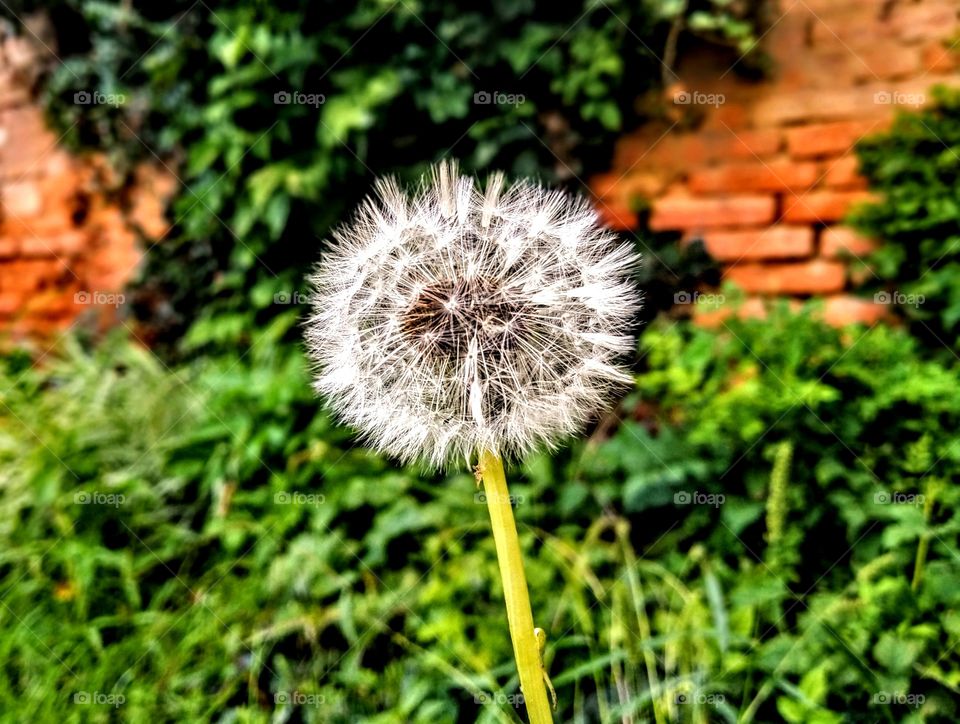 it ain't over till it's over