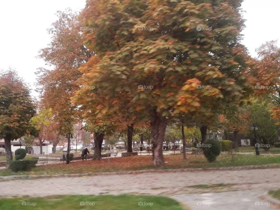Autumn