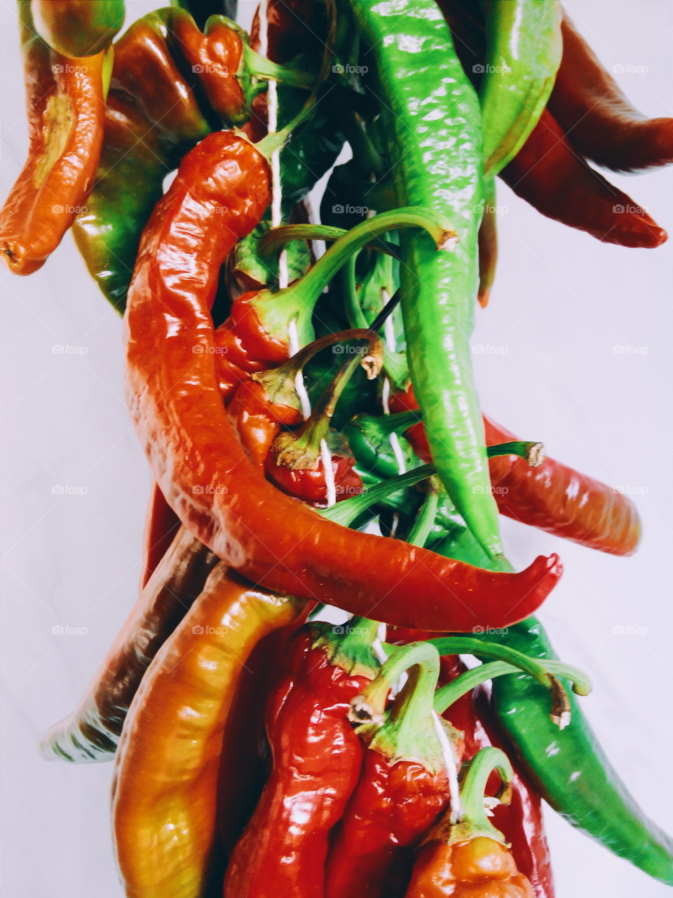 red and green hot peppers. red and green hot peppers