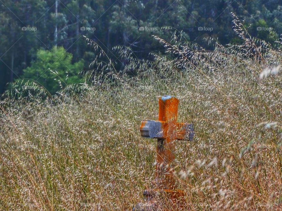 Old West graveyard