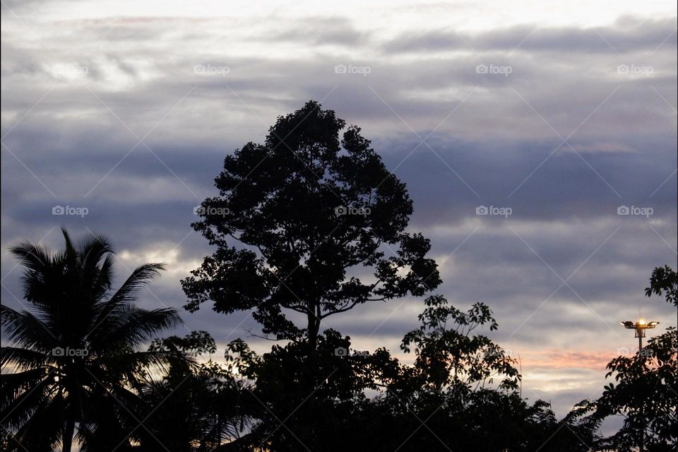 Atmosphere before sunrise