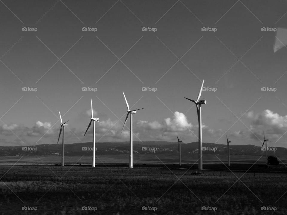 Black and white shot of rural scene of environmental conservation in Andalusia, Spain.