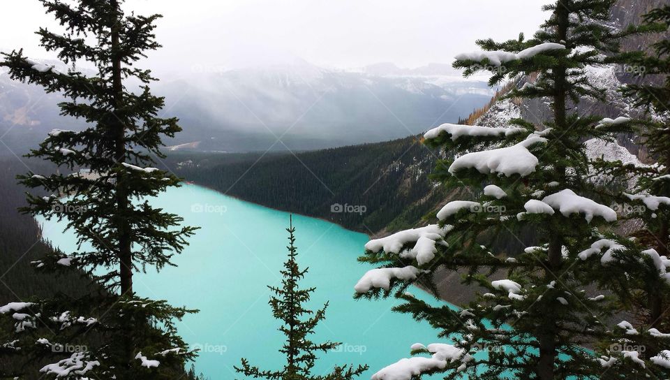 High angle view of lake