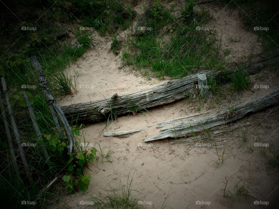 Empire Bluffs
Michigan 