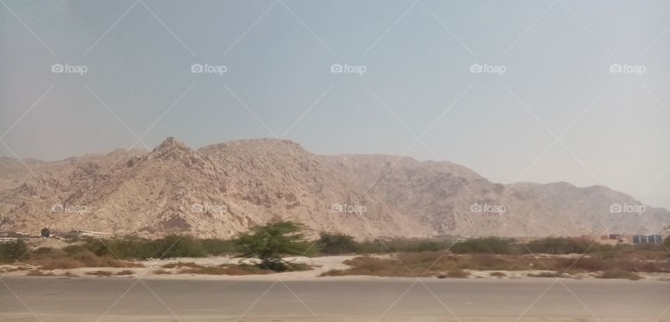 Beautiful Mountains and tree views Ras al kheimah