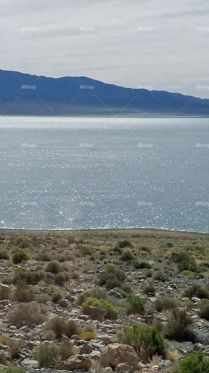 Lake in Nevada