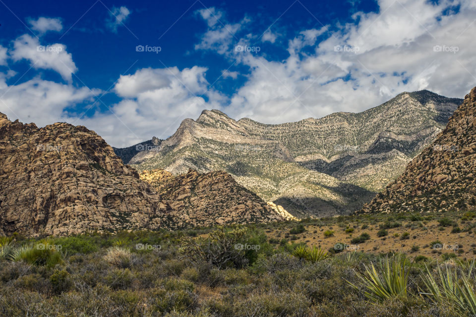 Red Rock Canyon , Mojave Desert , near Las Vegas , Nevada.