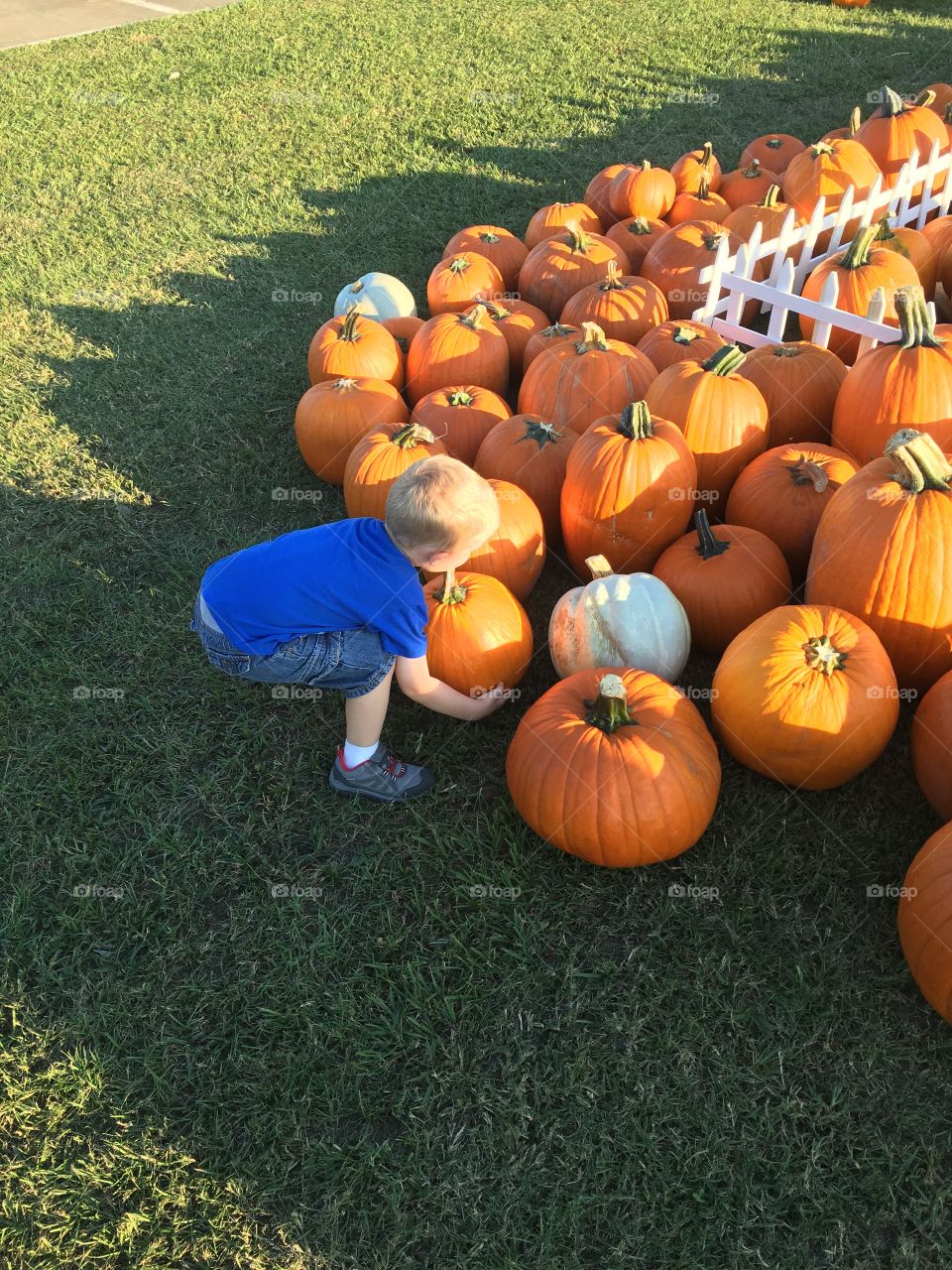 Pumpkin patch . Me and my son at the local pumpkin patch