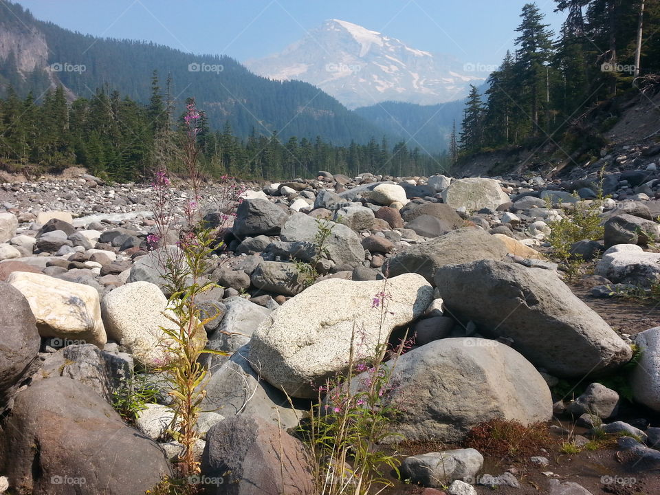 Mt. Rainier from the riverbed.
