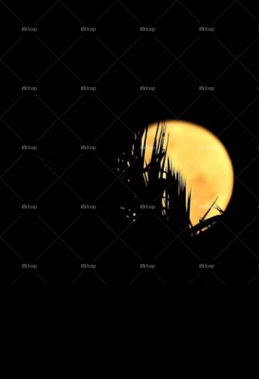 Lua cheia Bela imagem.