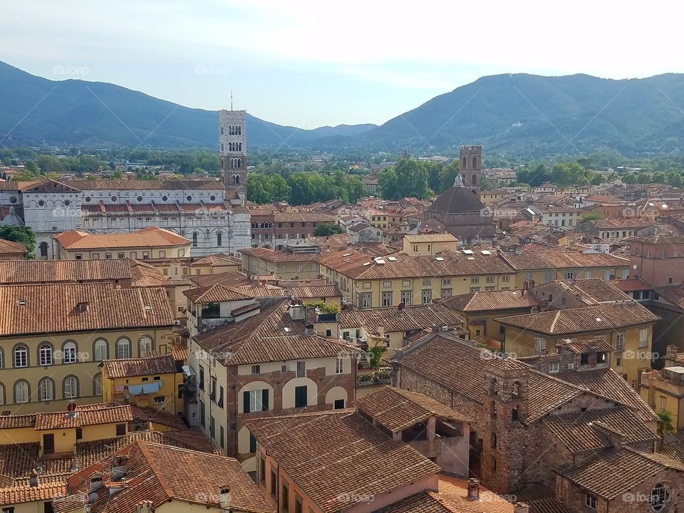 Lucca Rooftops