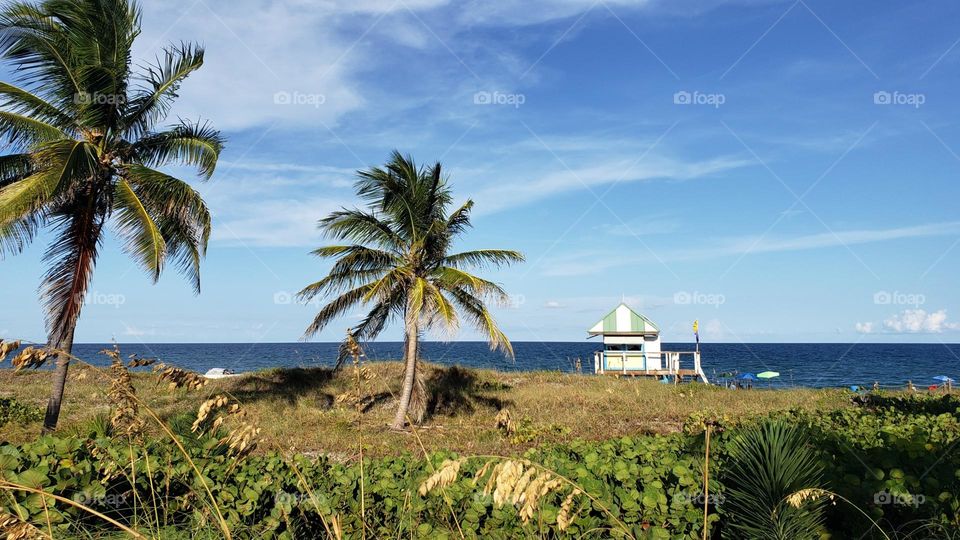 beyond the seagrass