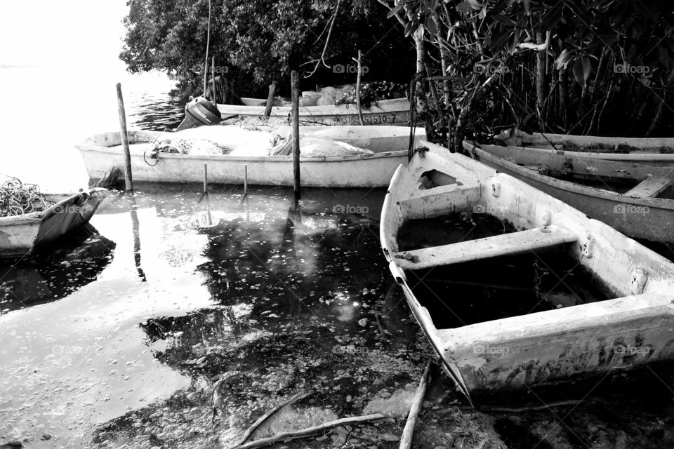 Fishing boats 