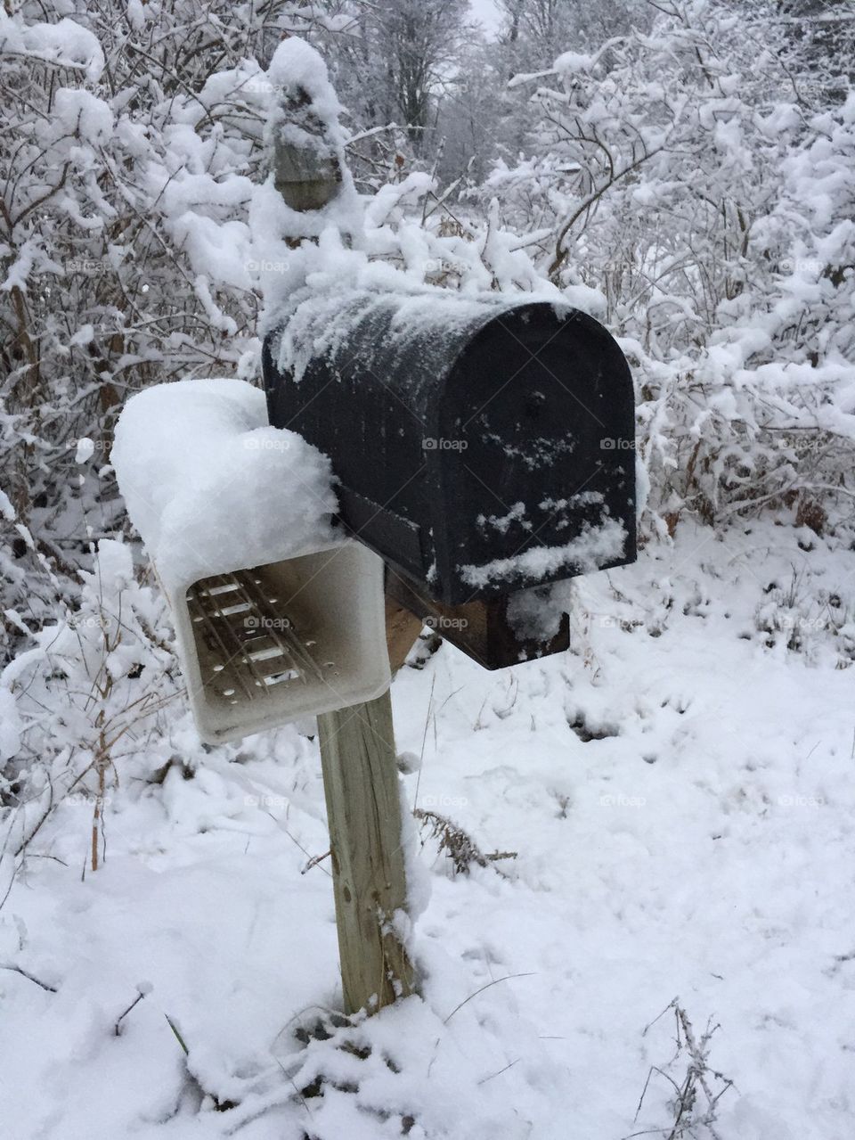 Snowy mailbox