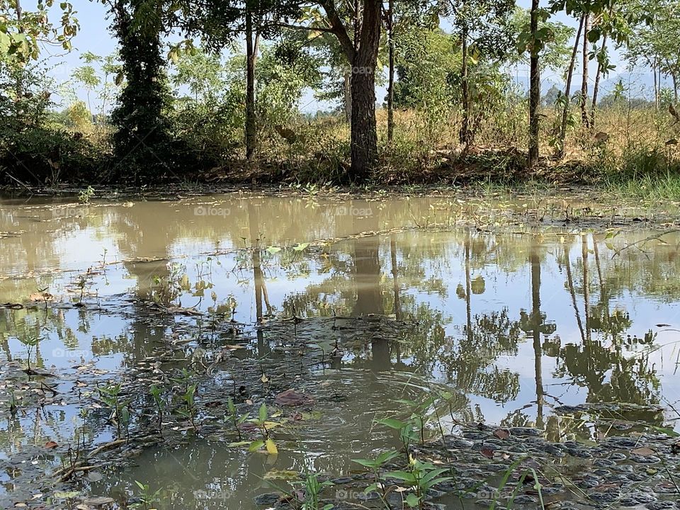 Best of 2021 : Nature, Countryside (Thailand)