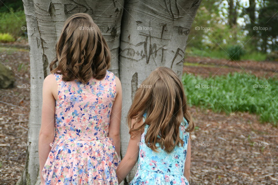 Take the Nostalgic Way Home ( Series )