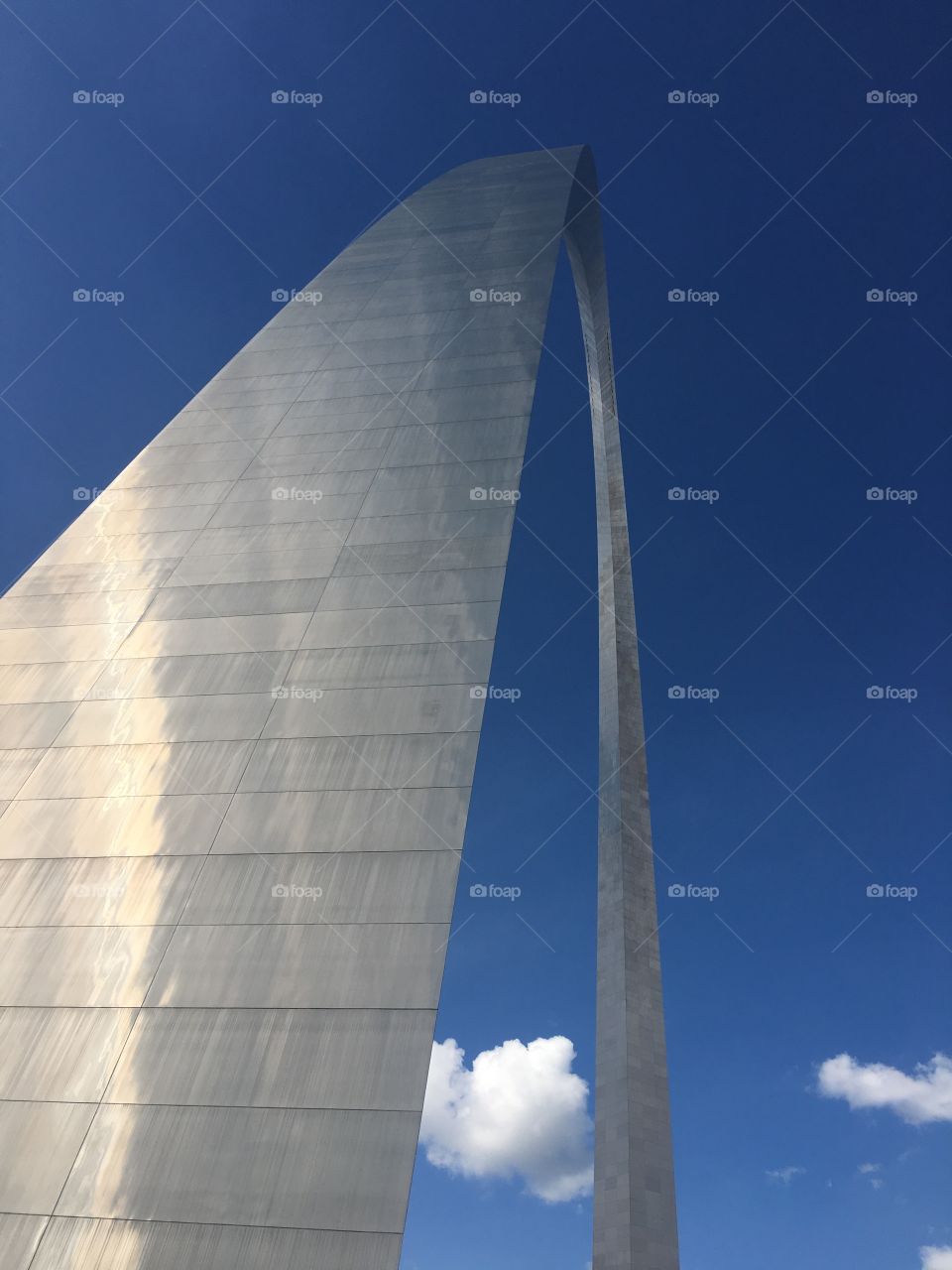 Gateway Arch- St. Louis 