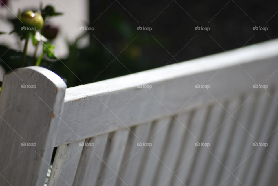 Bench in garden 