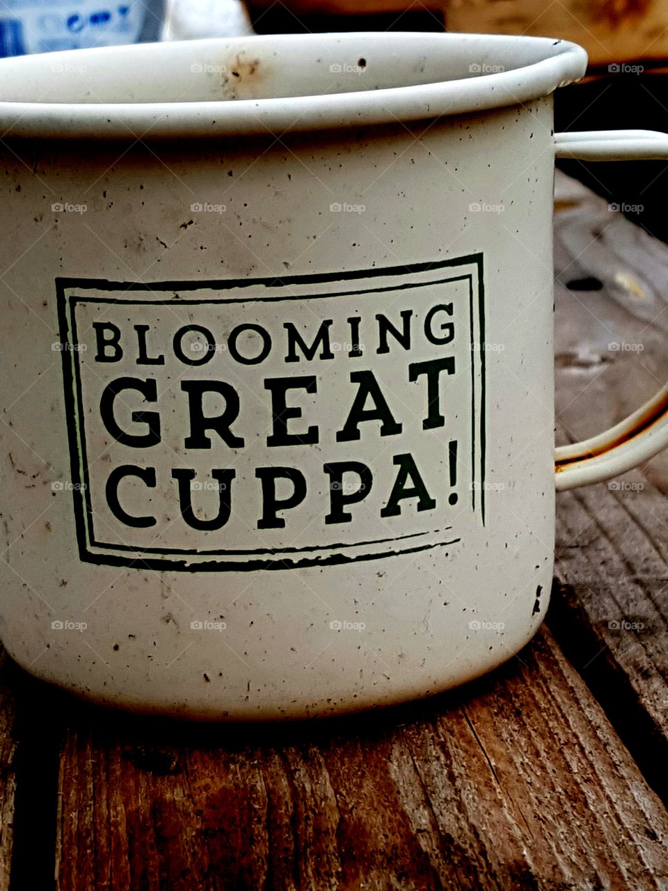 a very British garden