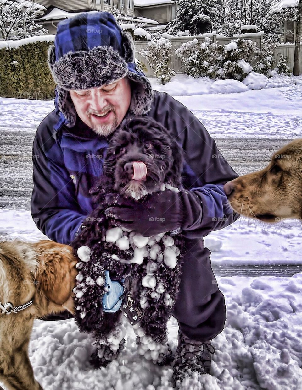 Snow Ball Dog