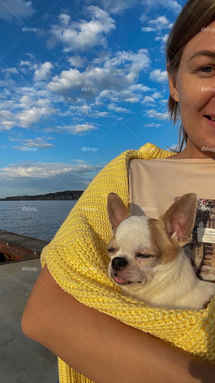 Cute chihuahua at sea