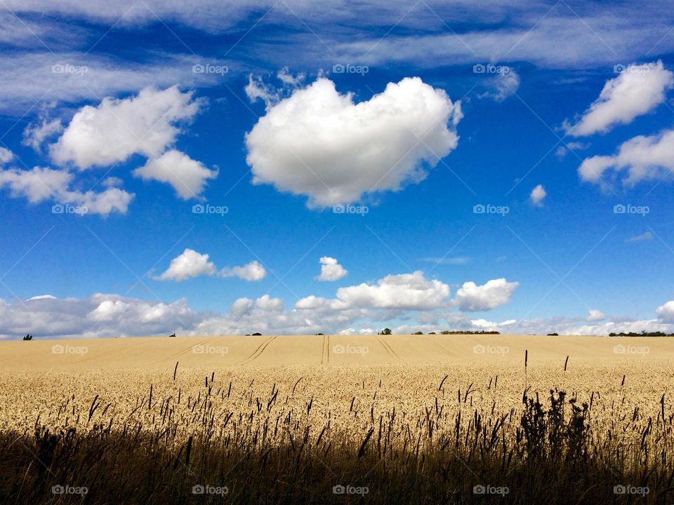 Beautiful Day topped off with a heart shaped cloud 