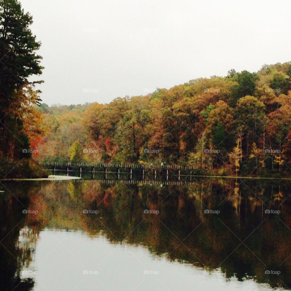 Autumn at NcNatt Lake