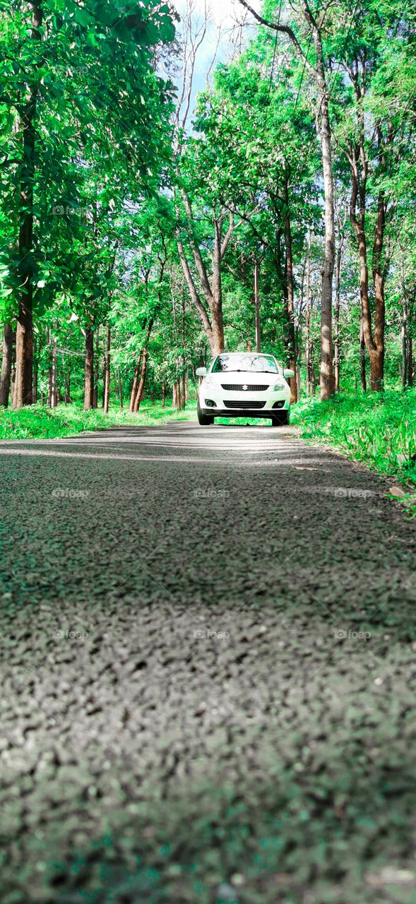 white colour car in forest #images of green colour and white colour combination #images of swift car #beautiful images of Wayanad Kerala