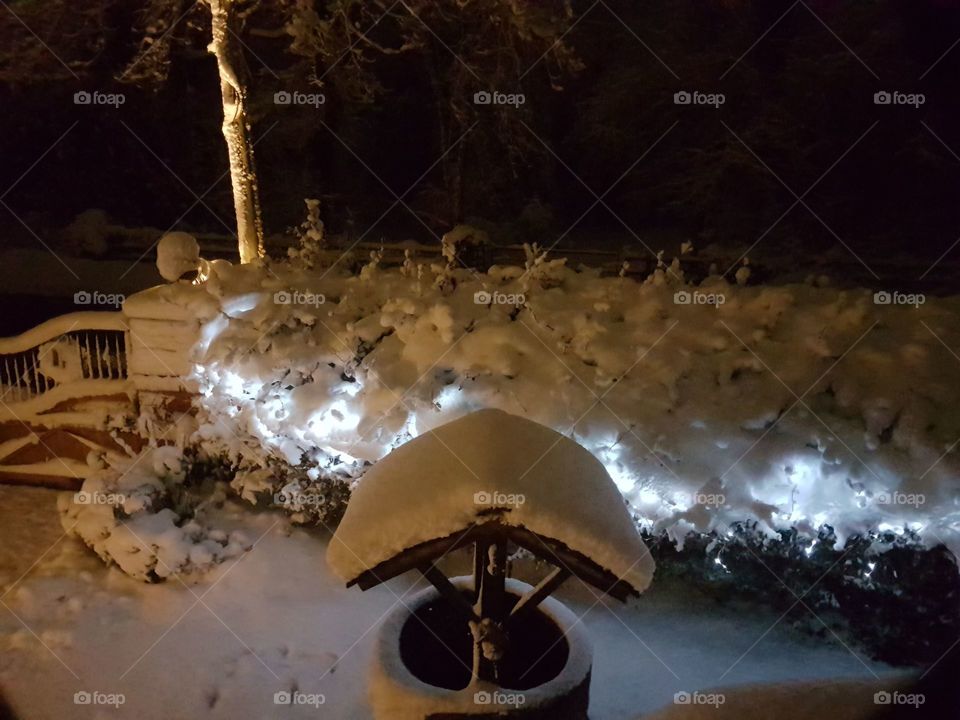 Feastive Lights in Snow