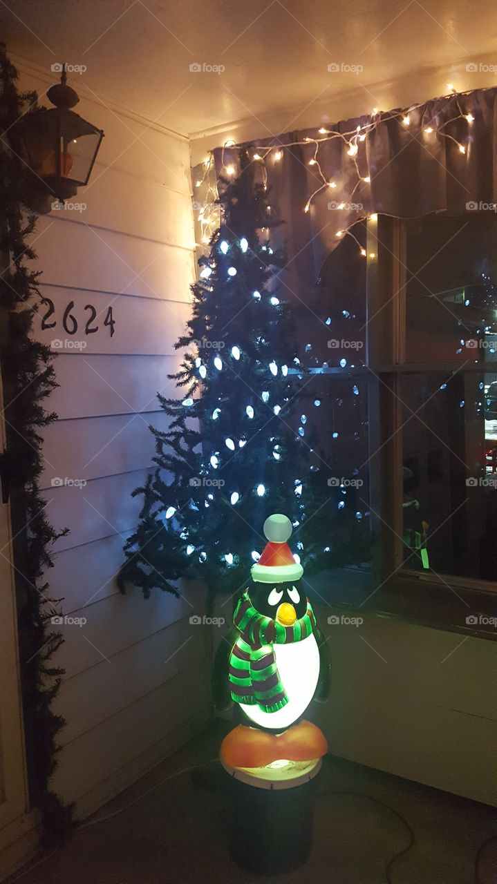 Christmas and penguin