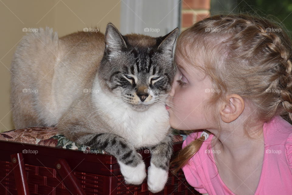 Cat kisses