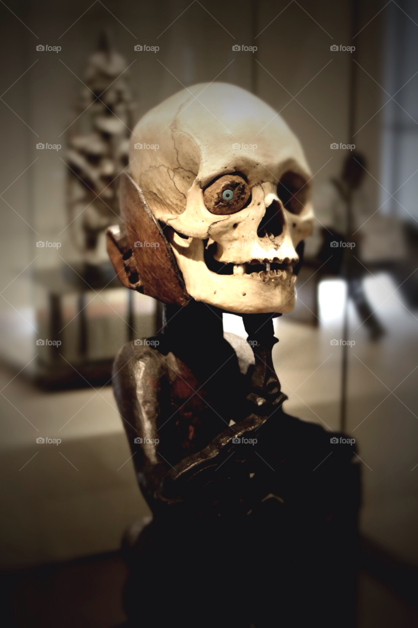 skull ancient figure exhibit by stevehardley7