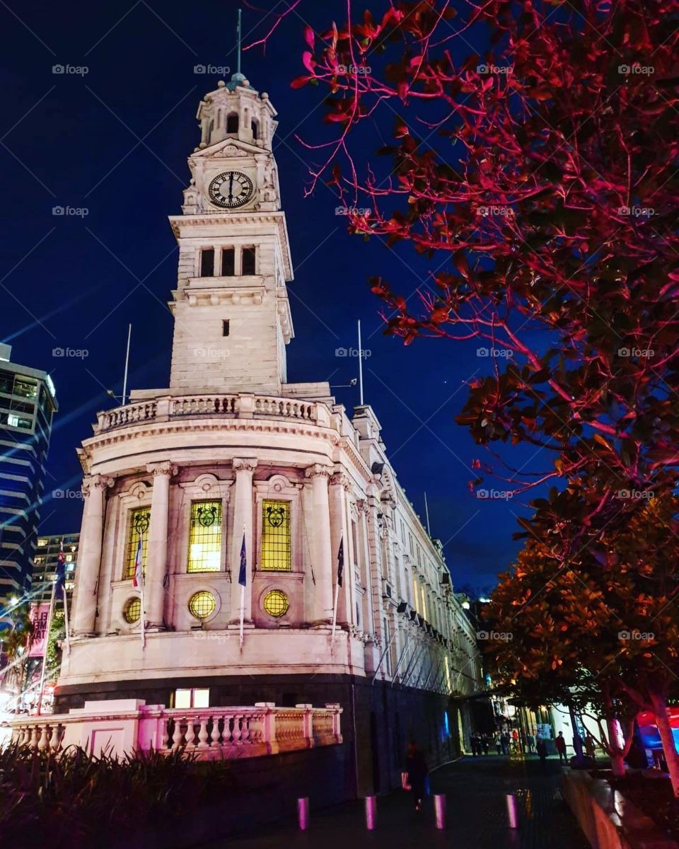 Auckland Town Hall