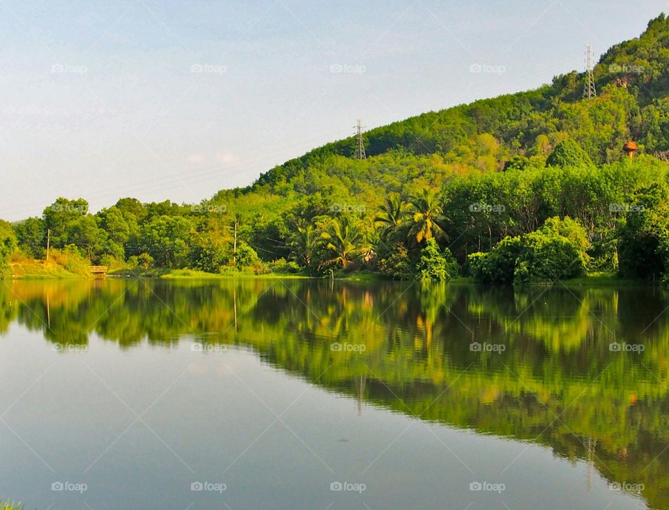 Reflection of forest in lake