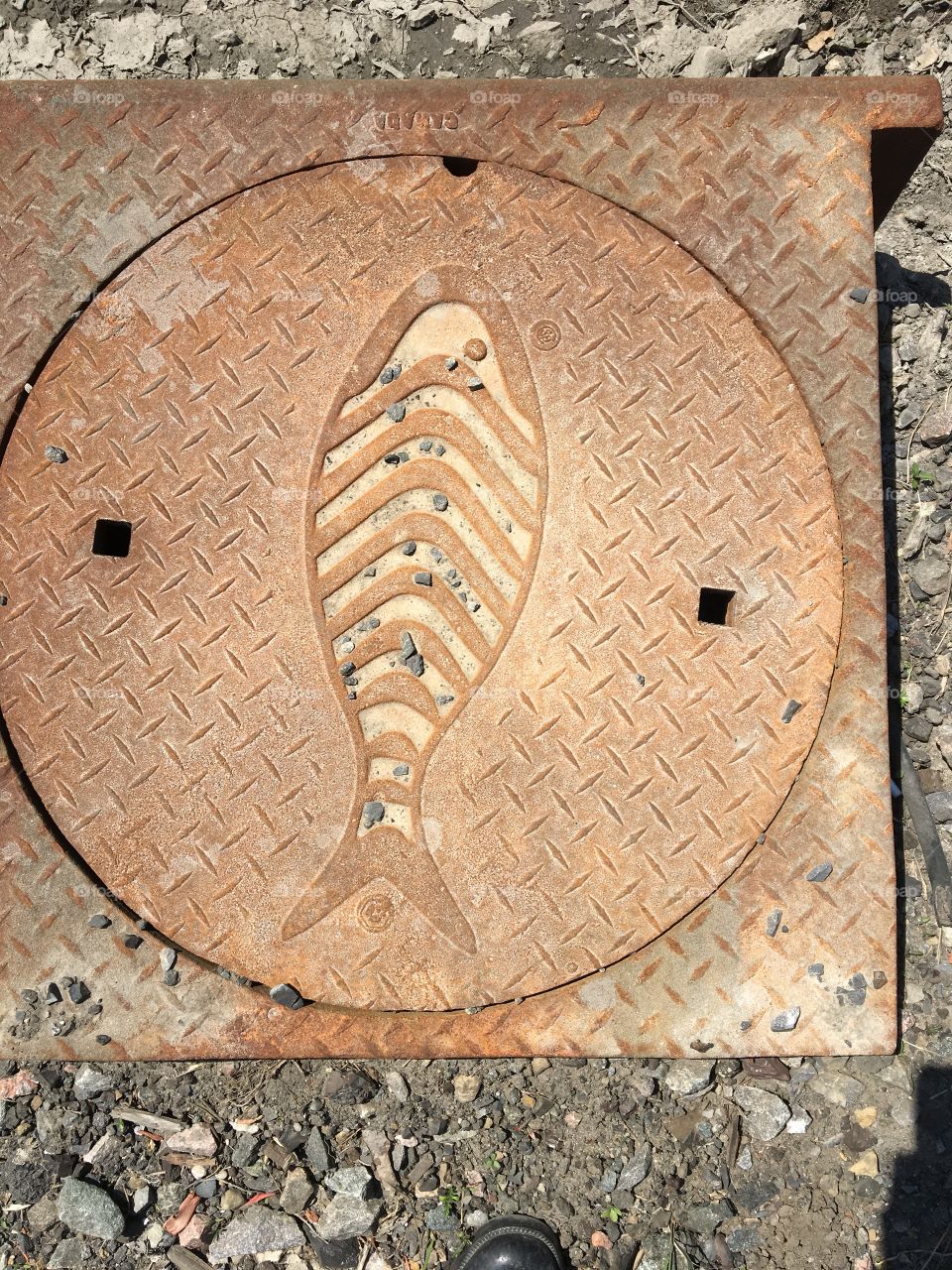 Manhole grate