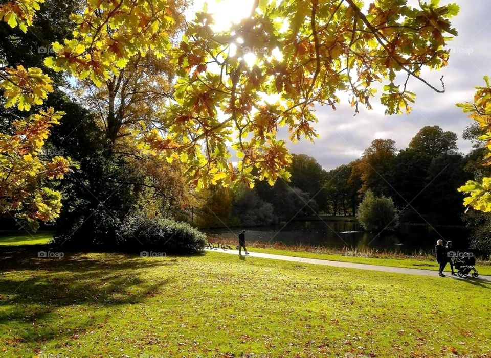 A walk in the park