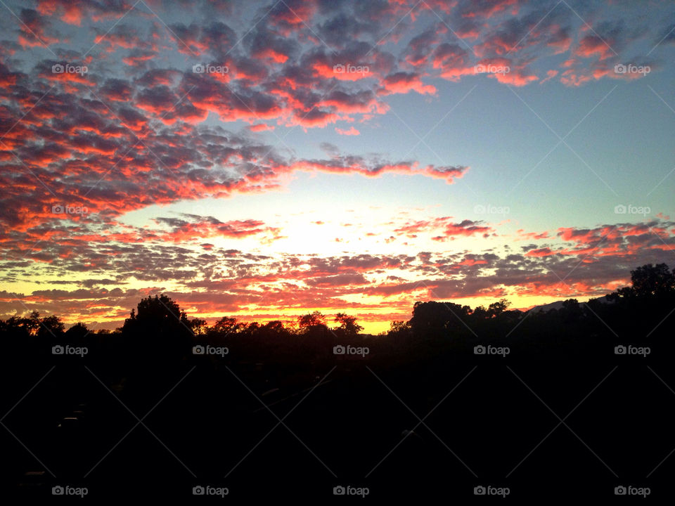 sky tree sunset clouds by asbreynolds