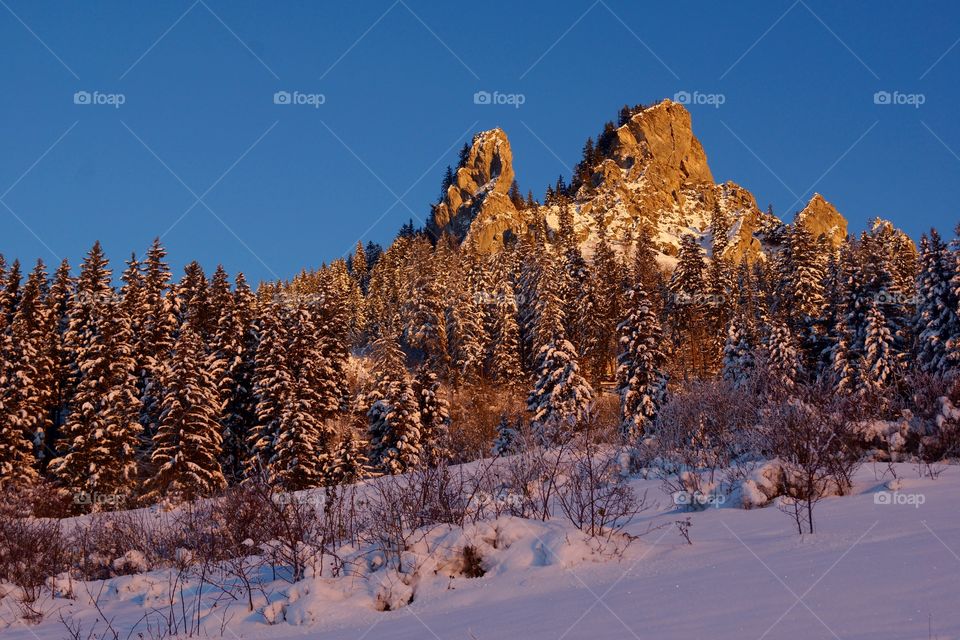 Golden hour sur le mont César en hiver (Alpes du Nord, France)