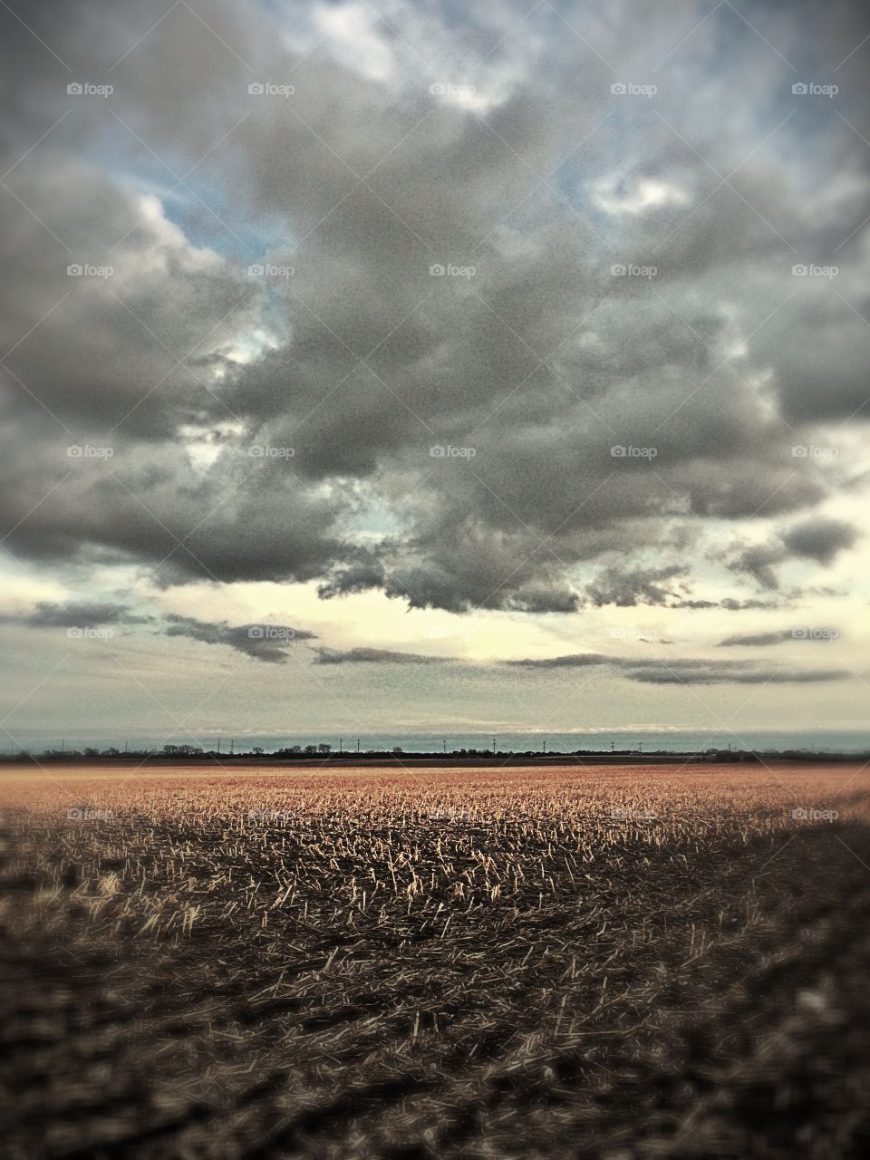Midwest Winter Horizon 