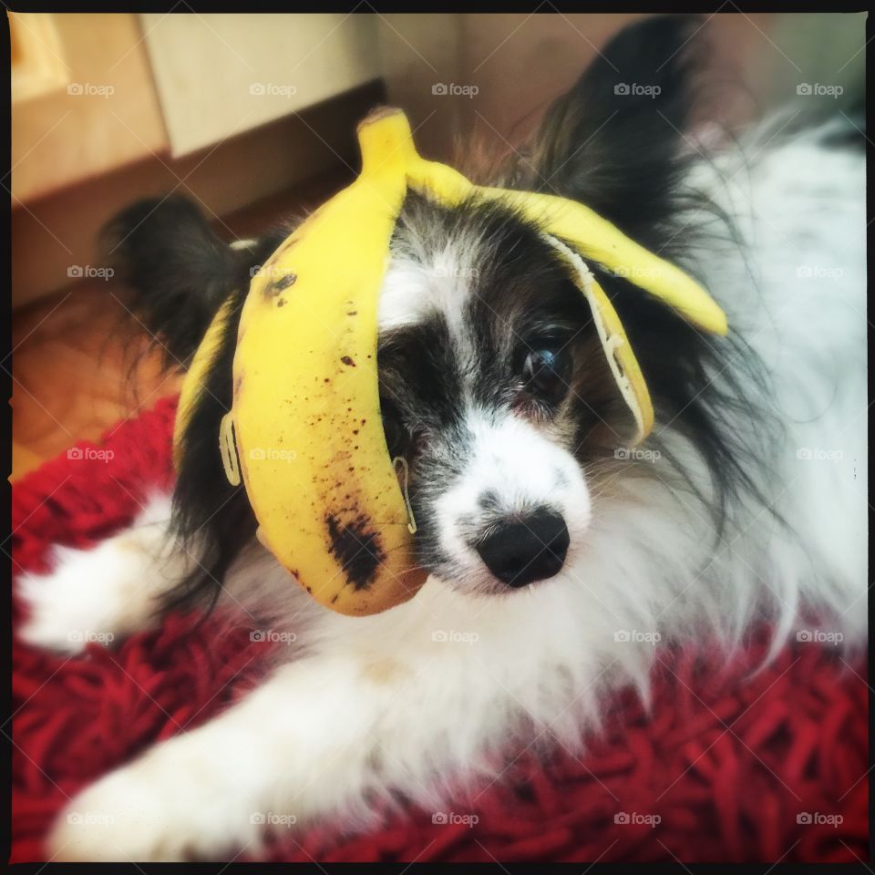 Oops, I did it again ...