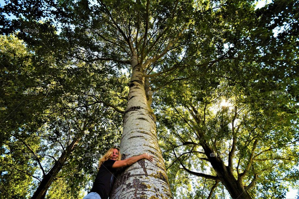 woman with curly blond hair hugging a huge birch tree in the forest frog perspective wide angle picture