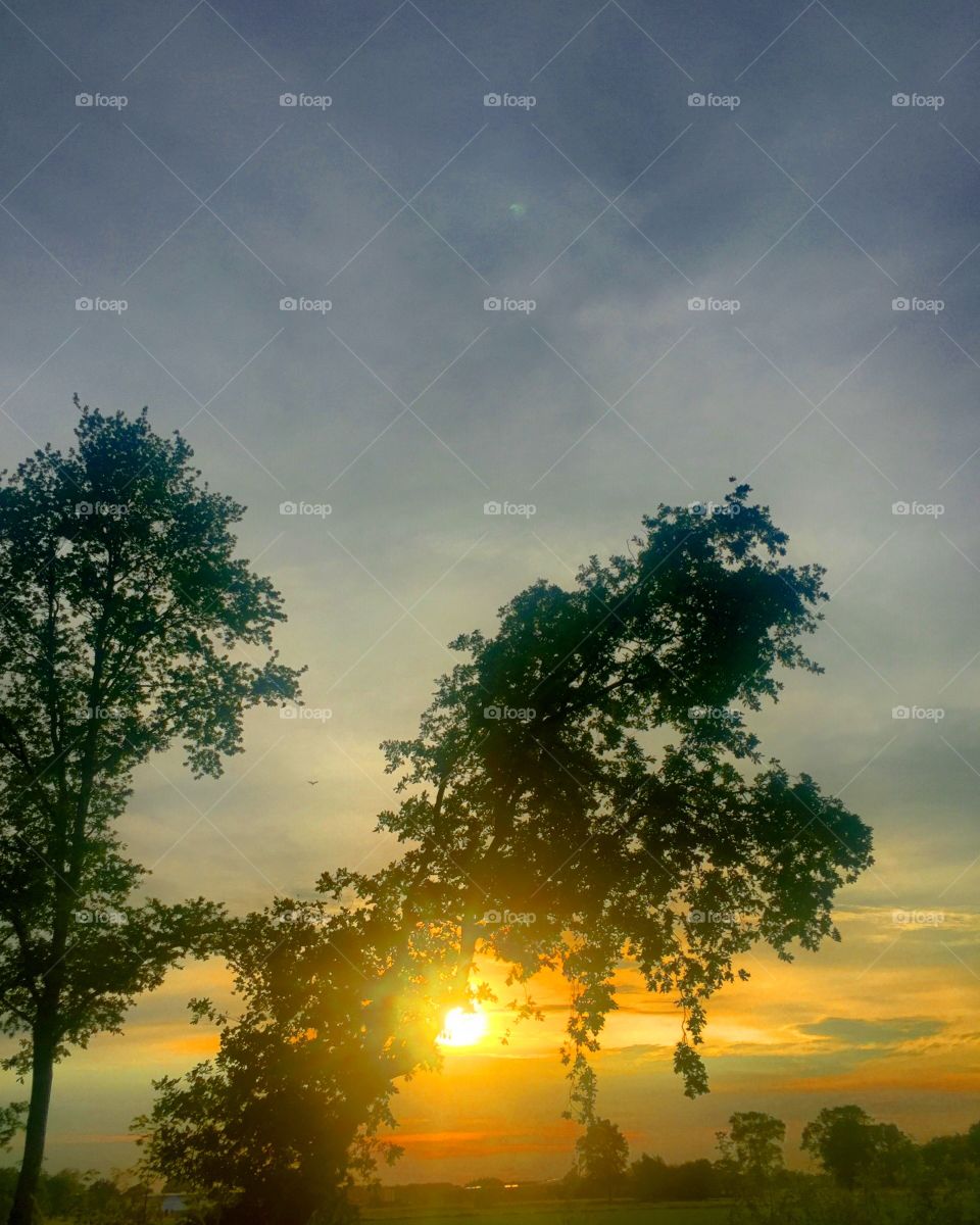 Evening walk to the sunset