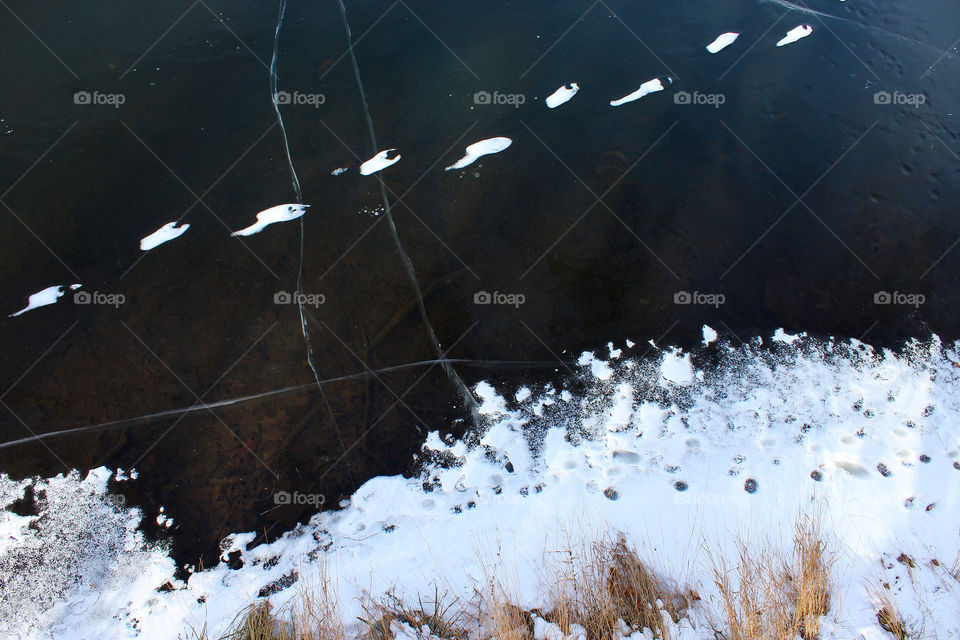 Snowy Footprints Across A Frozen Pond
