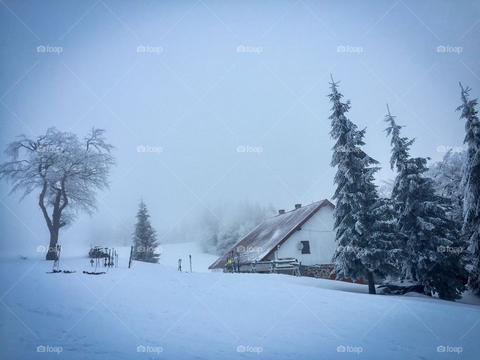 Chalet in the mountains surrounded by trees covered in snow