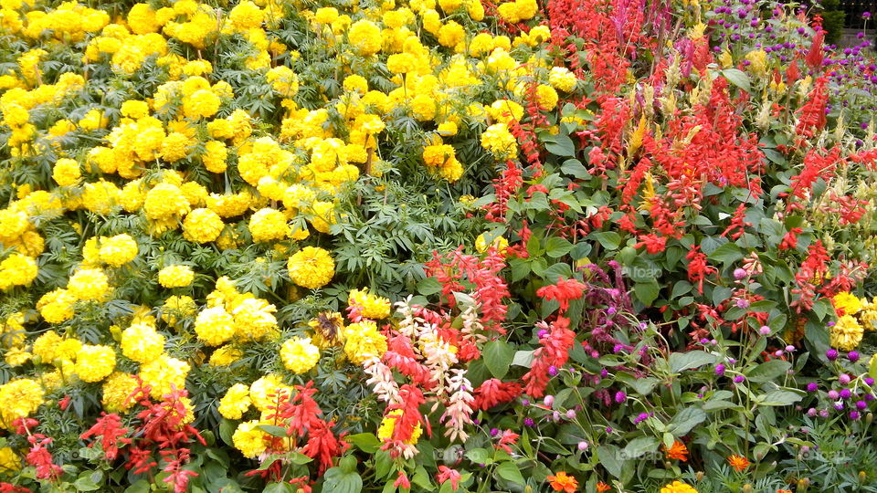 I-Innovation photography