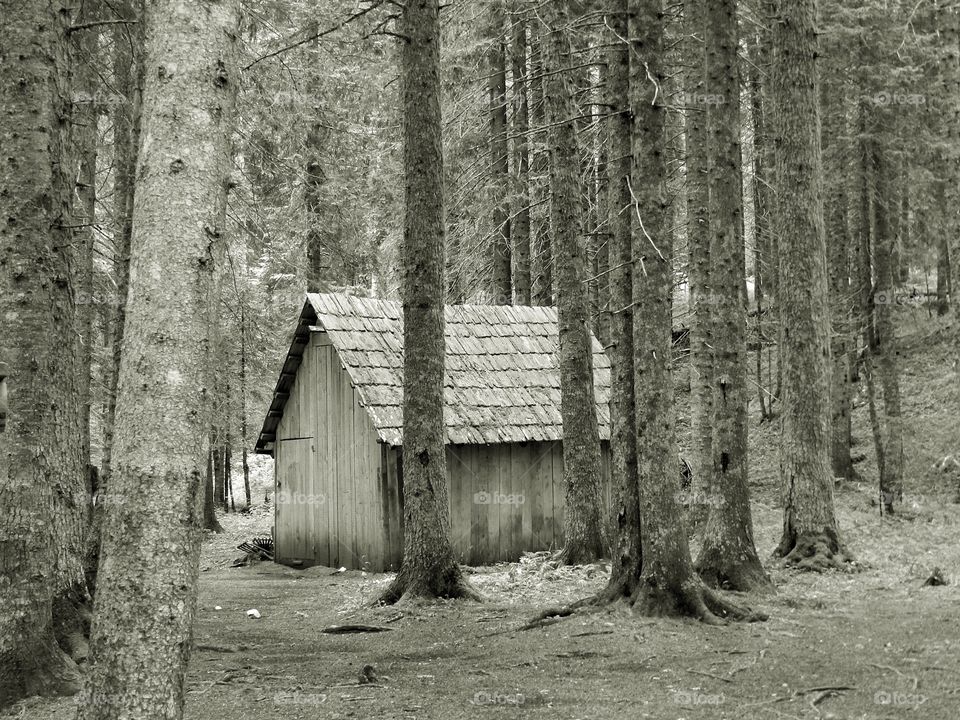 Wooden cabin in national park of Durmitor in Montenegro