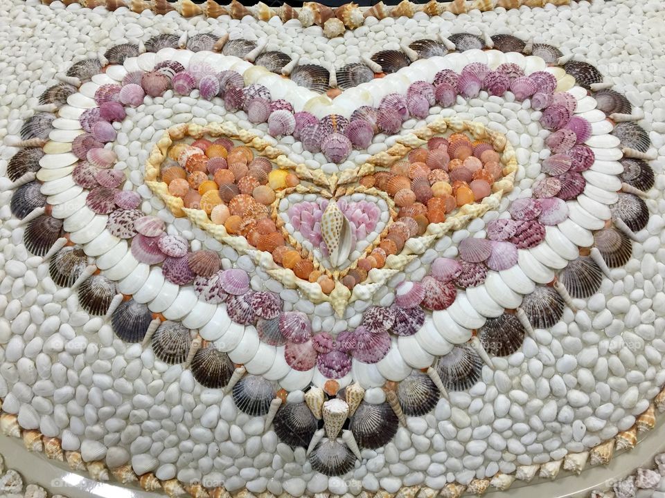 Seashell Art